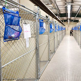 Dog Kennels