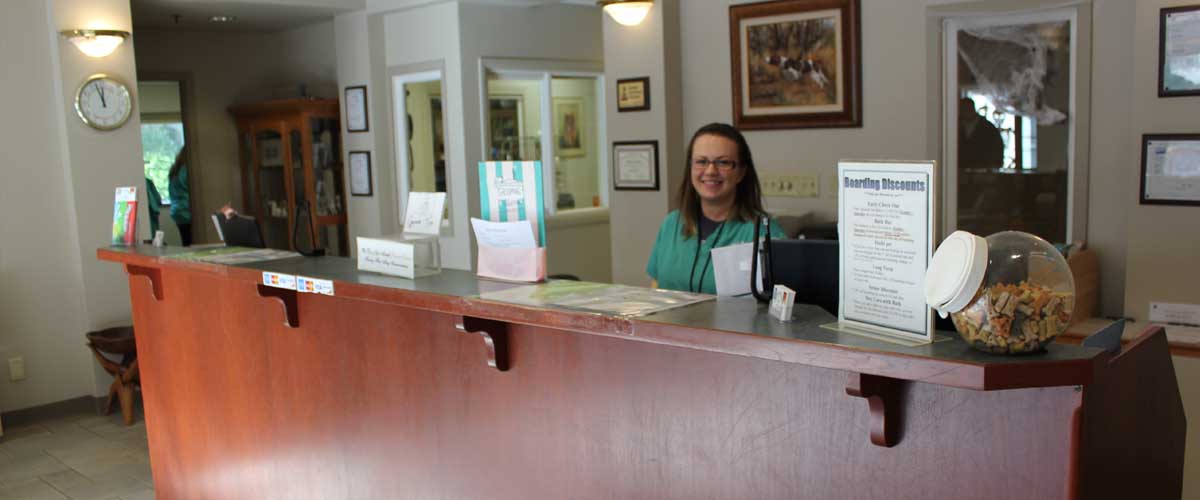 Pet Boarding in Seattle