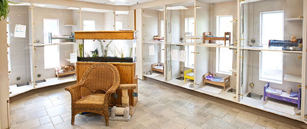 Cat Boarding Facility in SeaTac, WA