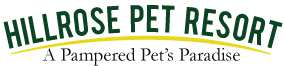 Hillrose Pet Resort Hillrose Pet Resort