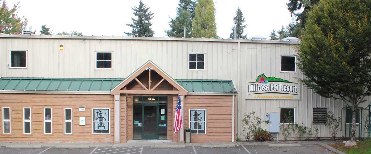 dog-boarding-kennel-burien dog-boarding-kennel-burien