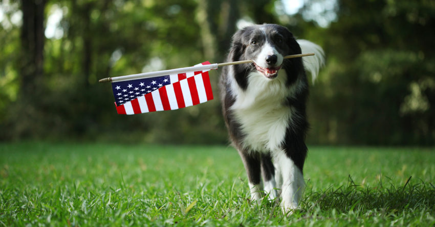 Customer Notice Regarding Coronavirus Precautions